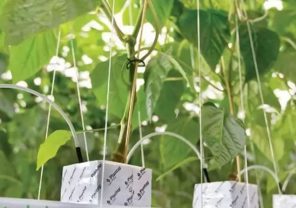 �r(n��ng)�I(y��)�r��