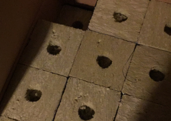 �r(n��ng)�I(y��)�r��